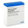 Neuro Injeel Ampullen (10 stk) – PZN 3058477