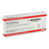 Rhus Tox. D 6 Ampullen (10X1 ml) – PZN 2824923