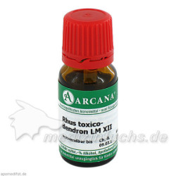 RHUS TOXICODENDRON LM 12, 10 ML – PZN 2603553