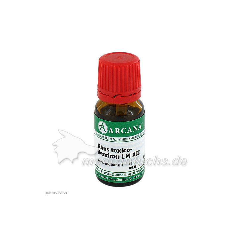 RHUS TOXICODENDRON LM 12, 10 ML – PZN 2603553