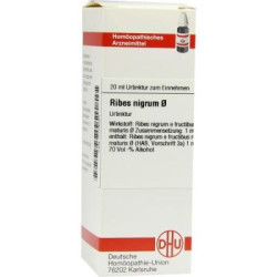 Ribes Nigrum Urtinktur (20 ml) – PZN 7179054