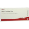 RETINA ET CHORIOIDE GL D 5, 10X1 ML – PZN 3354313