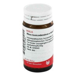 Rhus Tox. E Fol. D 12 Globuli (20 g) – PZN 8787382