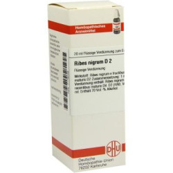 Ribes Nigrum D 2 Dilution (20 ml) – PZN 7179048
