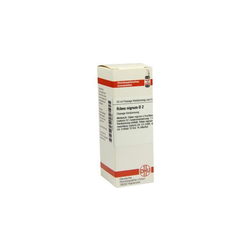Ribes Nigrum D 2 Dilution (20 ml) – PZN 7179048