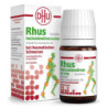 Rhus Tox. D6 Dhu bei rheumatischen Schmerzen Tabletten  (80 stk) – PZN 12608698
