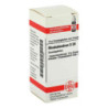 Rhododendron D 30 Globuli (10 g) – PZN 2104790