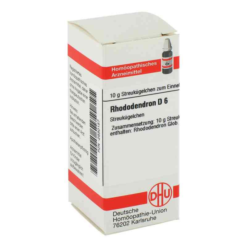 Rhododendron D 6 Globuli (10 g) – PZN 2930157