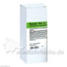 REVET RV 13 Globuli vet., 42 G – PZN 8762525
