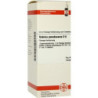 Robinia Pseudacacia D 6 Dilution (50 ml) – PZN 4234580