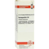 SARSAPARILLA D 6, 20 ML – PZN 2105499
