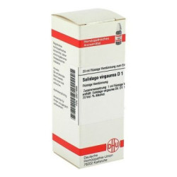 Solidago Virgaurea D 1 Dilution (20 ml) – PZN 2621999