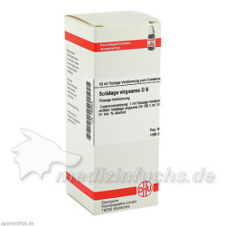 SOLIDAGO VIRGA D 6, 50 ML – PZN 2888828