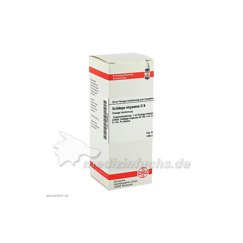SOLIDAGO VIRGA D 6, 50 ML – PZN 2888828