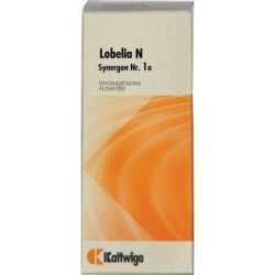 Synergon Kompl Lobelia N Nr. 1A, 20 ML – PZN 3633208