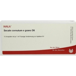 SECALE CORNUTUM E GRAN D 6, 10X1 ML – PZN 3657321