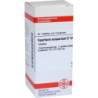 Spartium Scoparium D 12 Tabletten (80 stk) – PZN 7597076