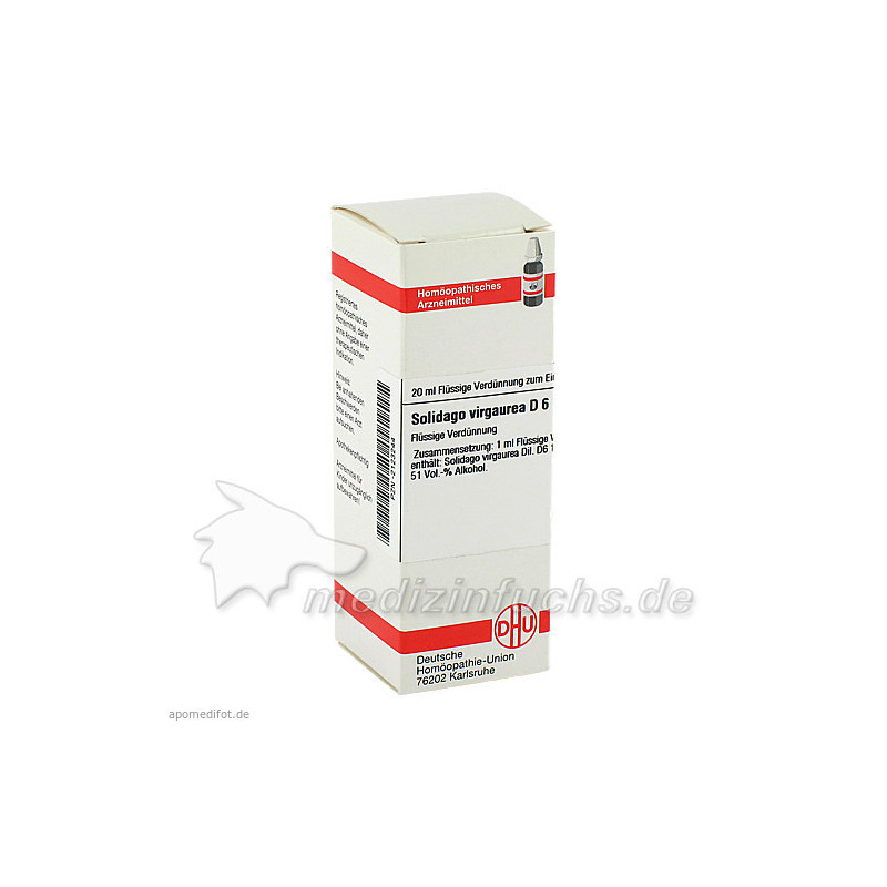 SOLIDAGO VIRGA D 6, 20 ML – PZN 2123244