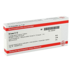 Silicea D 12 Ampullen (10X1 ml) – PZN 2825087