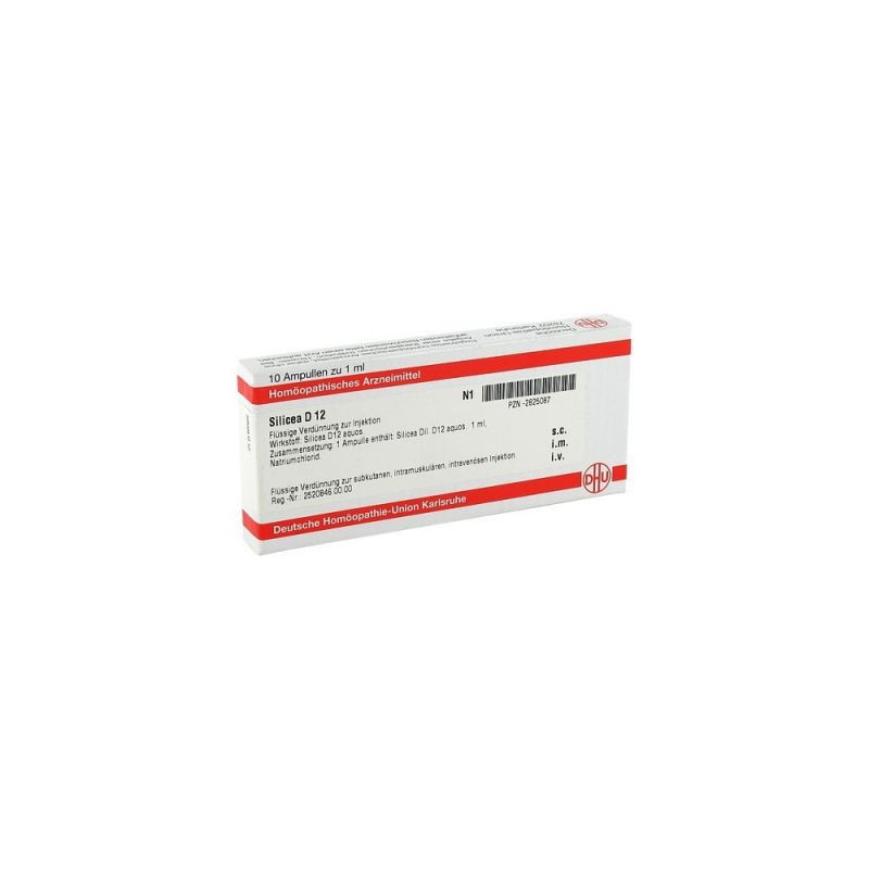 Silicea D 12 Ampullen (10X1 ml) – PZN 2825087