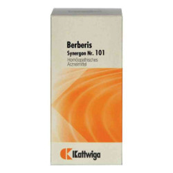 Synergon 101 Berberis Tabletten (100 stk) – PZN 4905732