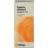 Synergon Komplex Arg Nitr N112, 20 ML – PZN 7731959
