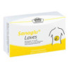 Sanaglu Laves Kapseln (60 stk) – PZN 10793094