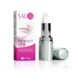 SAL 29 PERFECT LIPS, 4 G – PZN 2030749