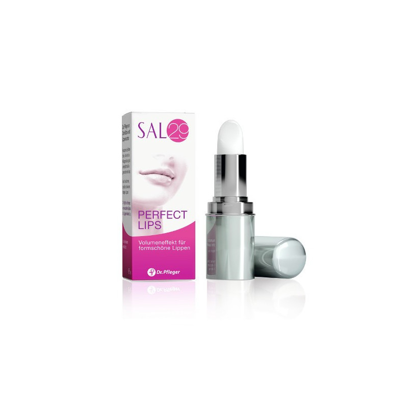 SAL 29 PERFECT LIPS, 4 G – PZN 2030749