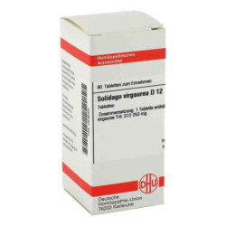Solidago Virgaurea D 12 Tabletten (80 stk) – PZN 2636050