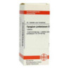 Syzygium Jambolanum D 4 Tabletten (80 stk) – PZN 2803743
