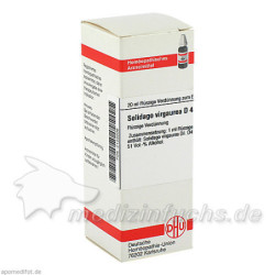 SOLIDAGO VIRGA D 4, 20 ML – PZN 2123209