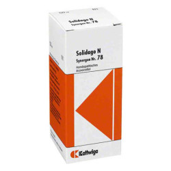 Synergon 78 Solidago N Tropfen (50 ml) – PZN 3574948