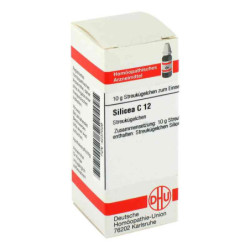Silicea C 12 Globuli (10 g) – PZN 4237029