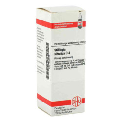 Stillingia Silv. D 4 Dilution (20 ml) – PZN 2016