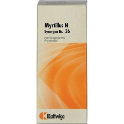 Synergon Kompl Myrtillus N Nr36, 20 ML – PZN 2232111