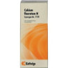 SYNERGON KOMPL CALC F N114, 20 ML – PZN 3575221