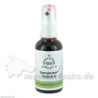 SPENGLERSAN KOLLOID G, 50 ML – PZN 1563739