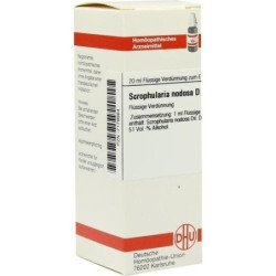 SCROPHULARIA NODOS D 6, 20 ML – PZN 7179864
