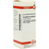 SCROPHULARIA NODOS D 6, 20 ML – PZN 7179864