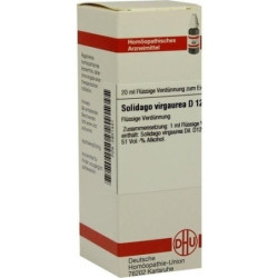 SOLIDAGO VIRGA D12, 20 ML – PZN 2931441