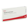 Skorodit Kreislauf Inject Ampullen (10X1 ml) – PZN 84391