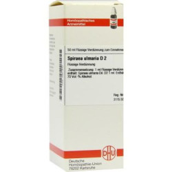 Spiraea Ulmaria D 2 Dilution (50 ml) – PZN 2931642