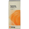 SYNERGON KOMPL EUPATOR 47, 50 ML – PZN 3467158