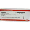 SYMPHYTUM D 6 Ampullen, 10X1 ML – PZN 4239235