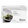 Sidroga Wellness Ceylon Tee Filterbeutel (20 stk) – PZN 1436403