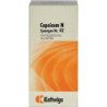SYNERGON KOMPL CAPSIC N 42, 100 ST – PZN 4905347