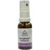 SPENGLERSAN KOLLOID DX, 20 ML – PZN 3525306