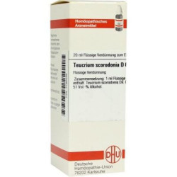 Teucrium Scorod. D 6 Dilution (20 ml) – PZN 7182056