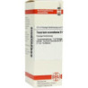 Teucrium Scorod. D 6 Dilution (20 ml) – PZN 7182056